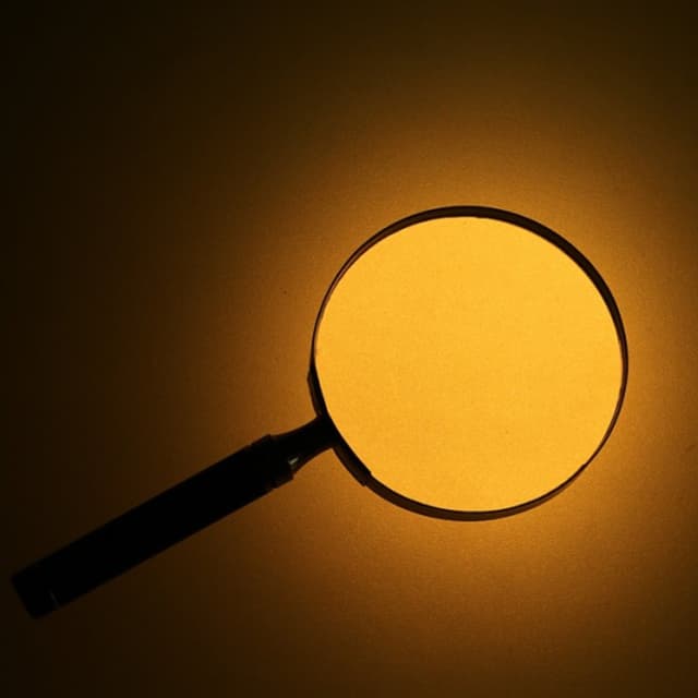 2 Emme Security Investigazioni e Vigilanza - Immagine 1