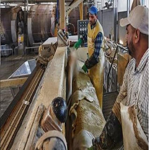 3c Lavorazione Pelli - Immagine 2