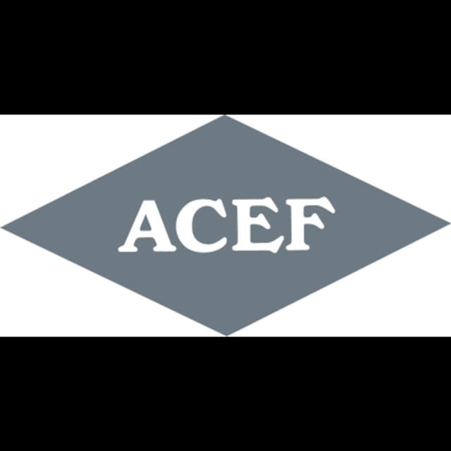 Acef Spa - Immagine 2