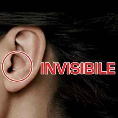 Acustica Fiorentina Sas - Immagine 2