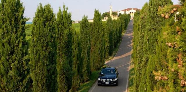 ADN Service - Immagine 2