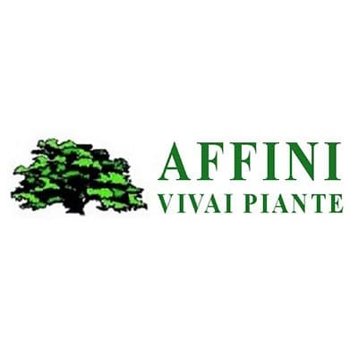 Affini Vivai - Immagine 1