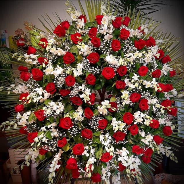 Agenzia Funebre Massucco - Immagine 2