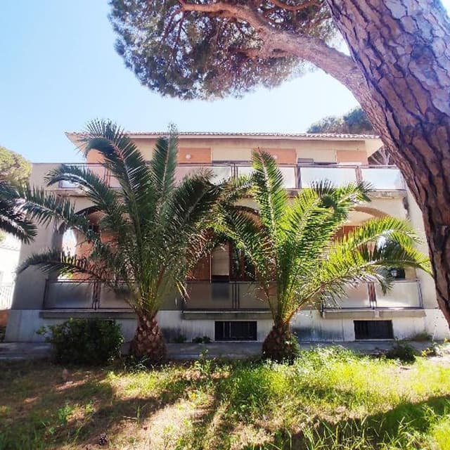 Agenzia Immobiliare Nuova Felicioni Case - Immagine 2