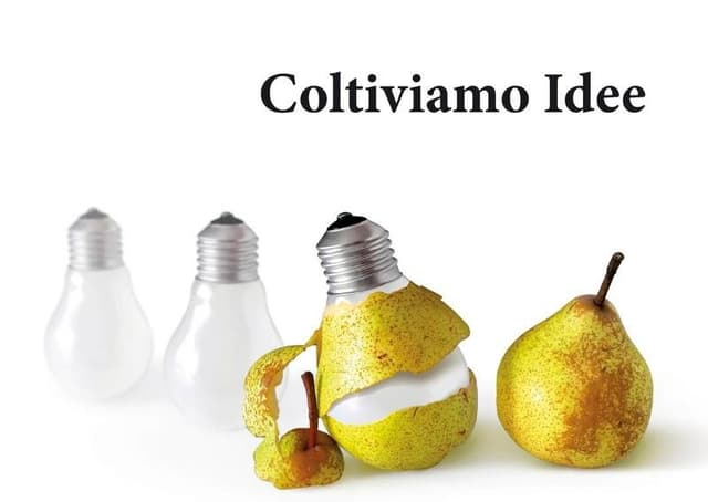 Agenzia Miraglio Cinzia - Immagine 1