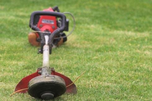 Agraria 2000 - Immagine 2