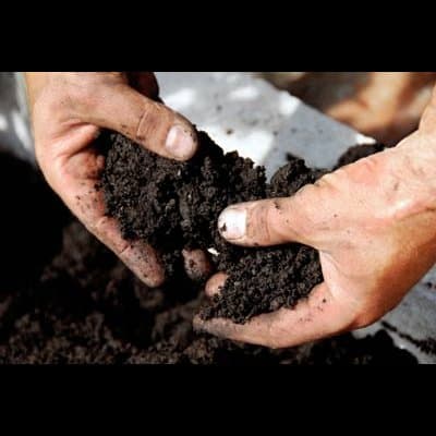 Agri 2000 - Immagine 2