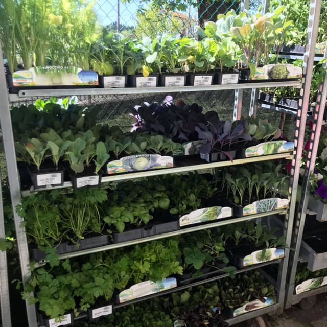 Agricola Arcisate - Immagine 2