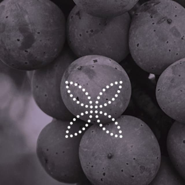 Agricola Cottini - Immagine 1