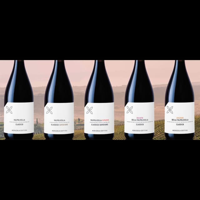 Agricola Cottini - Immagine 2