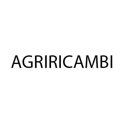 Agriricambi - Immagine 1