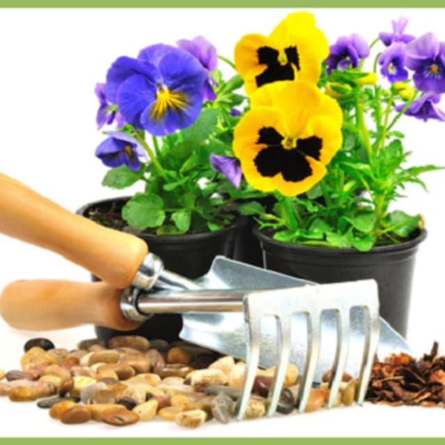 Agrisistem - Immagine 2