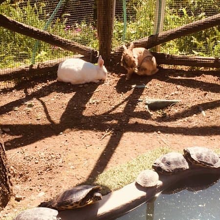 Agriturismo Castanito - Immagine 1