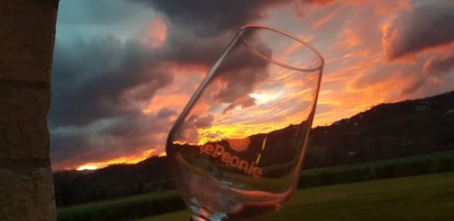 Agriturismo Le Peonie - Immagine 2