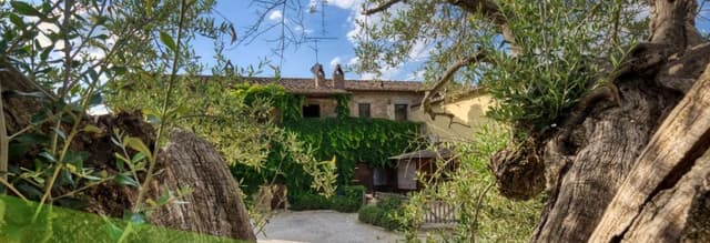 Agriturismo Ristorante La Casa di Campagna - Immagine 2