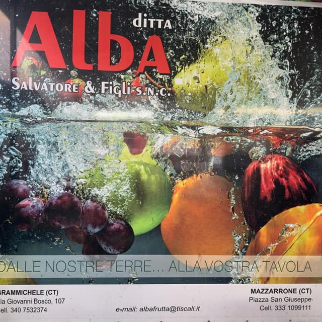 Alba Salvatore e Figli - Immagine 1