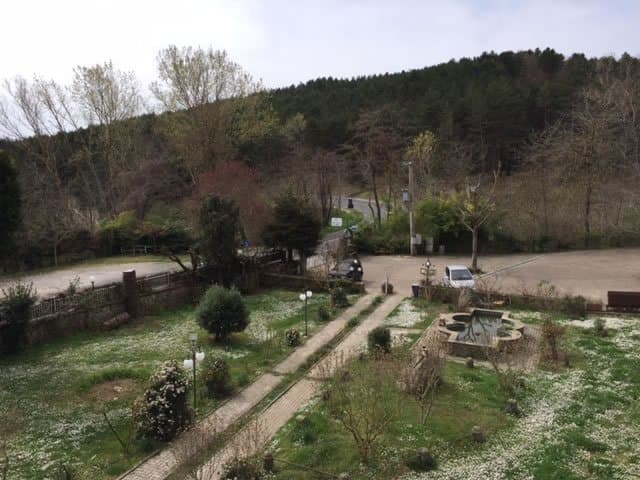 Albergo Hotel Parco Erosa - Immagine 1