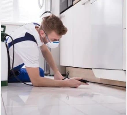 Alca Disinfestazioni - Immagine 1