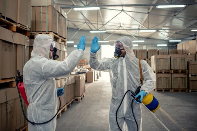 Alca Disinfestazioni - Immagine 2