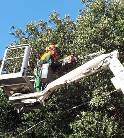 A.L.F.A. SERVIZI - Immagine 2