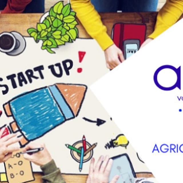 Alfalab srls - Immagine 1