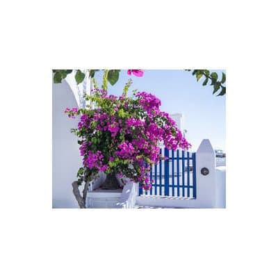 Alfieri Viaggi - Immagine 1