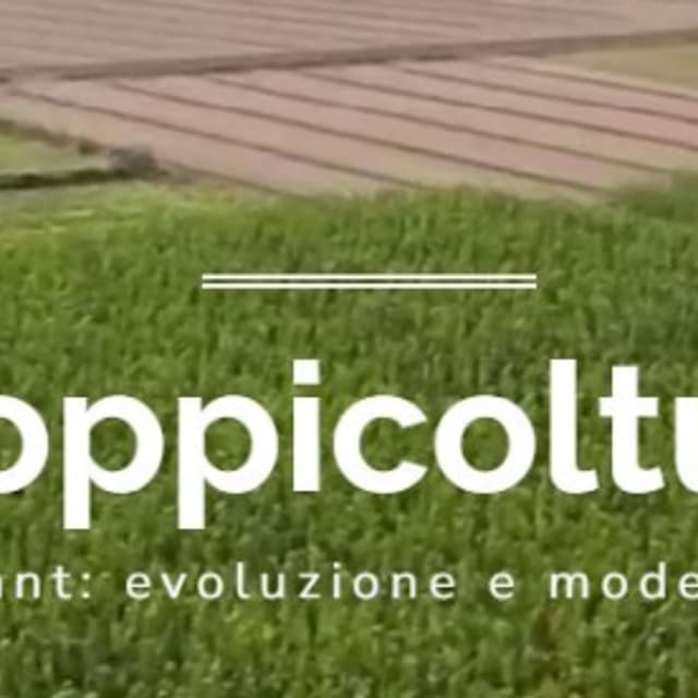 Allasia Plant - Immagine 1