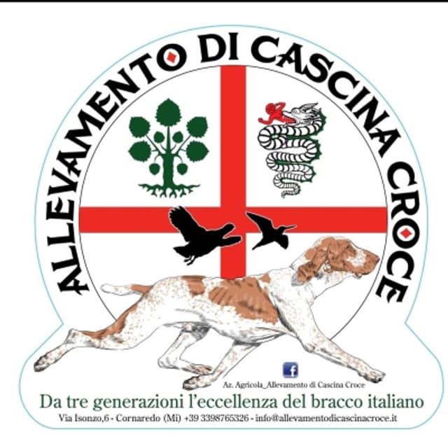 Allevamento di Cascina Croce - Immagine 1