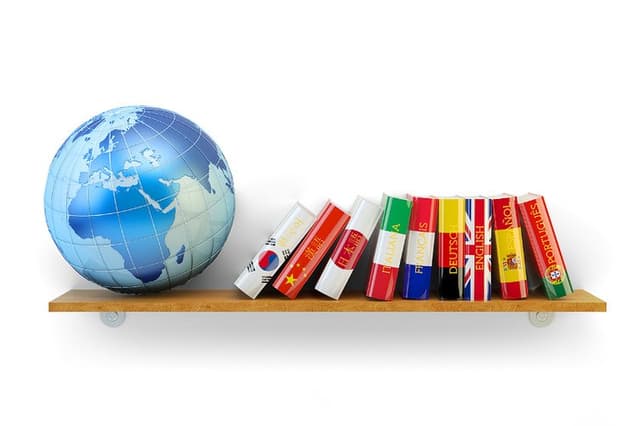 Alma Servizi - Immagine 2