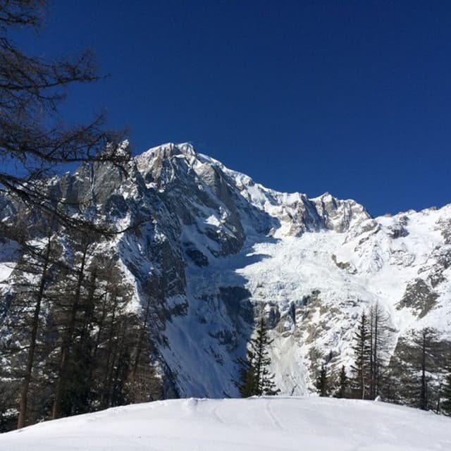 Alp Immobiliare Carolina Coccoz - Immagine 2