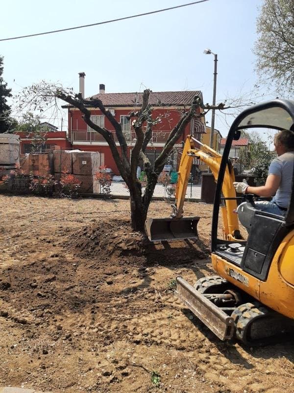 Ambrosi Davide Parchi e Giardini - Immagine 2