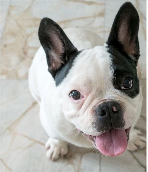 Ambulatorio Gilardoni S.r.l. - Immagine 1