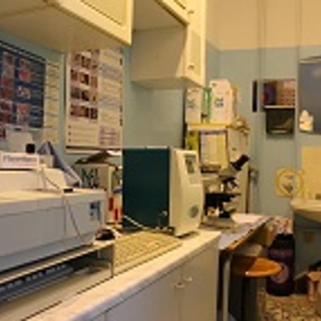 Ambulatorio Il Tirreno Veterinario - Immagine 2