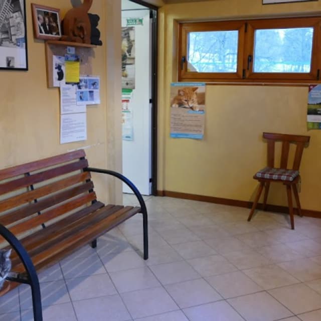 Ambulatorio Veterinario Associato Cortina - Immagine 2