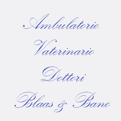 Ambulatorio Veterinario Blaas - Bano - Immagine 1