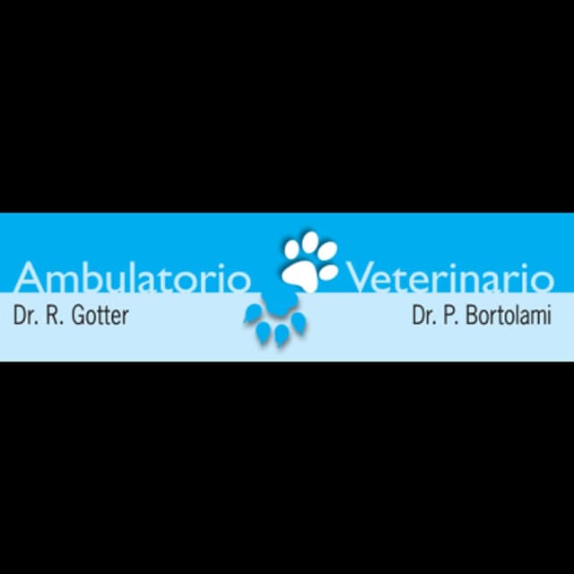 Ambulatorio Veterinario Campagna Lupia - Immagine 1