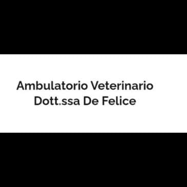 Ambulatorio Veterinario Dott.ssa De Felice - Immagine 1