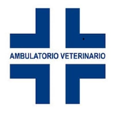 Ambulatorio Veterinario Le Coccinelle - Immagine 2