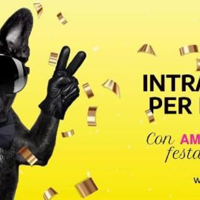 AMM Animazione e Spettacolo - Immagine 2