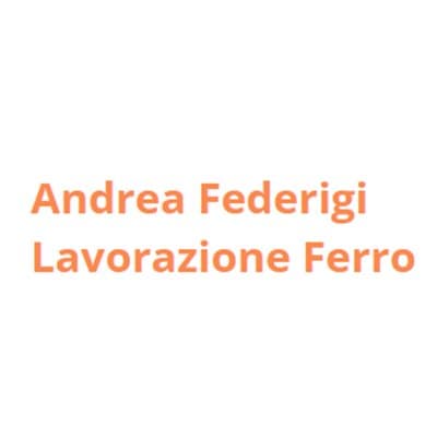 Andrea Federigi Lavorazione Ferro - Immagine 2