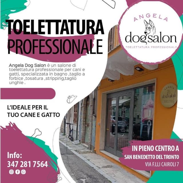 Angela Dog Salon - Immagine 2