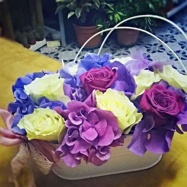 Angela Fiori - Immagine 1