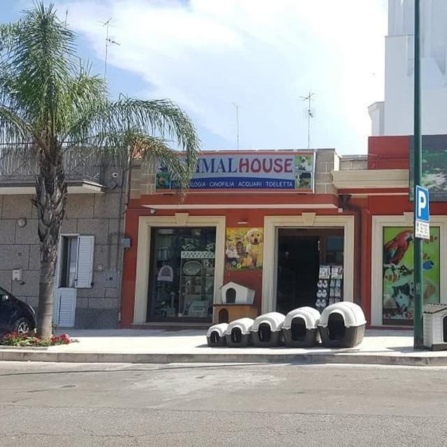 Animal House - Immagine 2