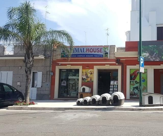 Animal House - Immagine 2