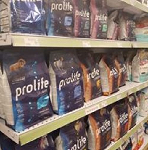 Animale Amico - Pet Shop - Immagine 2