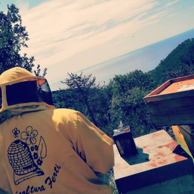 Apicoltura Ferti - Immagine 2