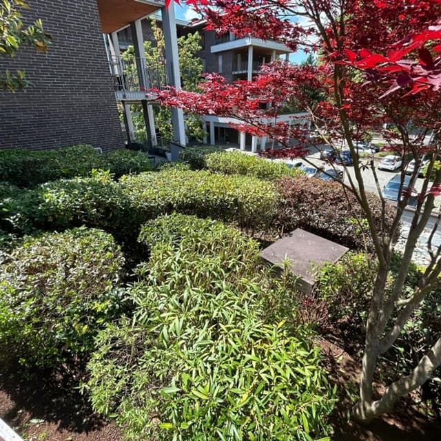 Aquila Service - Immagine 1