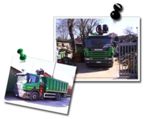 Ara Rino - Immagine 2