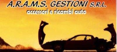 A.R.A.M.S. GESTIONI - Immagine 1