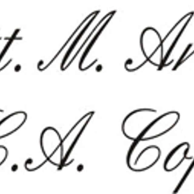 Arcari Monica e Coperchini C. Andrea - Immagine 2